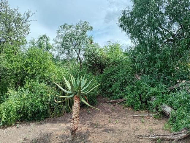 House for sale in Graaff Reinet, Eastern Cape