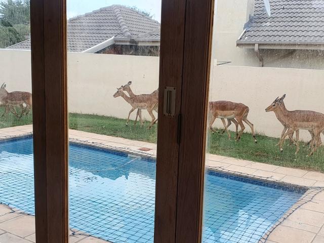 House for sale in Nylstroom, Limpopo