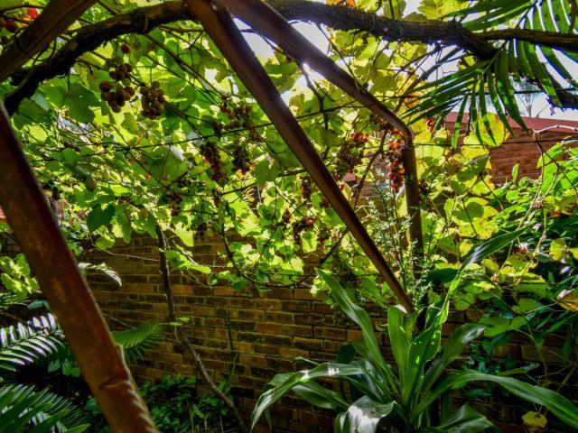 House for sale in Waterkloof, Gauteng