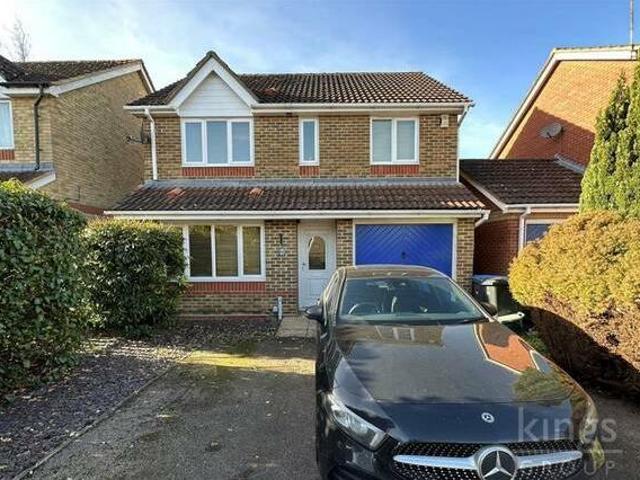 House for rent