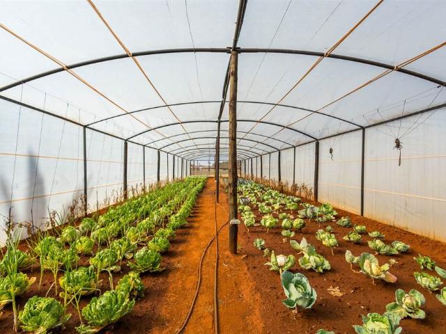 House for sale in Ekurhuleni, Gauteng