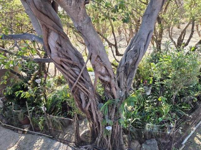 House for sale in Mopani, Limpopo