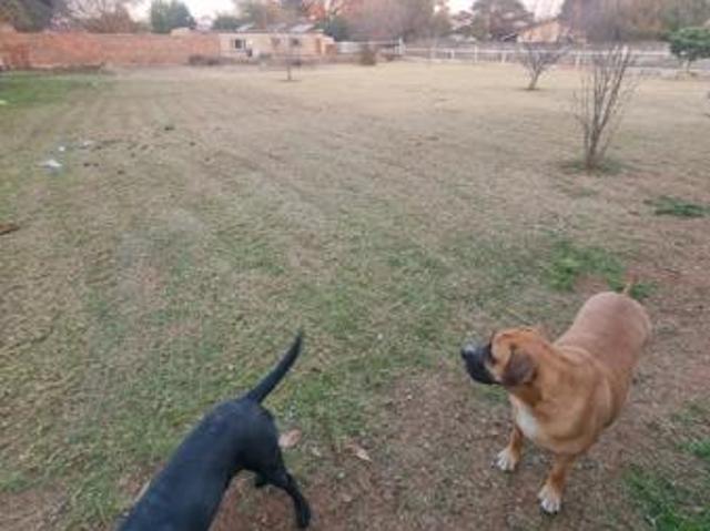 House for rent in Hartbeespoort Dam Nature Reserve, North West
