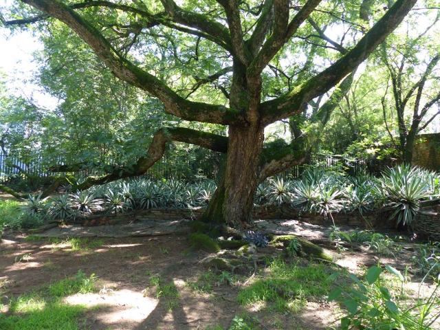 House for sale in Vosloorus, Gauteng