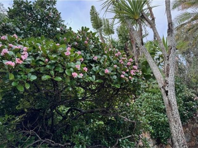 House for sale in Cape Town, Western Cape