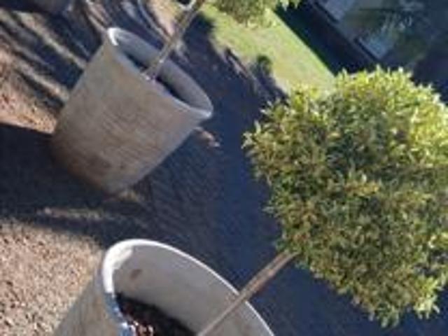 House for sale in Westonaria, Gauteng