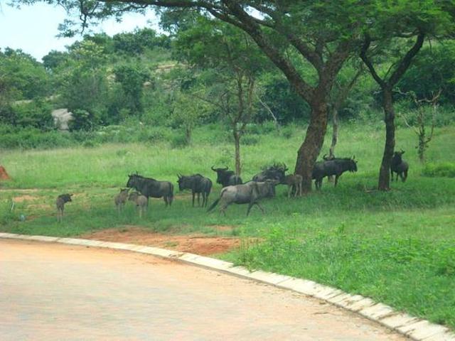 House for sale in Ehlanzeni, Mpumalanga