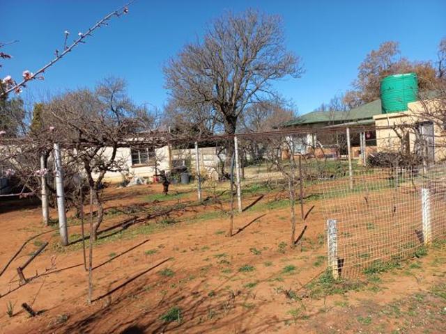 House for sale in Lejweleputswa, Free State