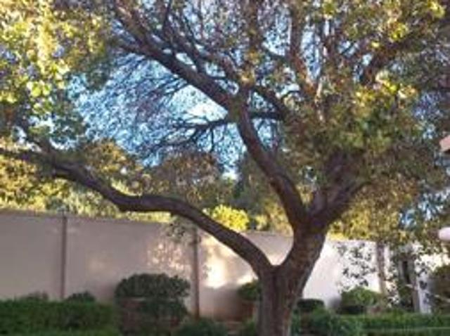 House for rent in Cape Town, Western Cape