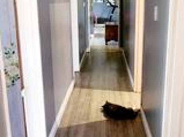 House for sale in Kgalagadi, Northern Cape