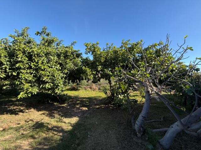 House for sale in Groot Brak Rivier, Western Cape