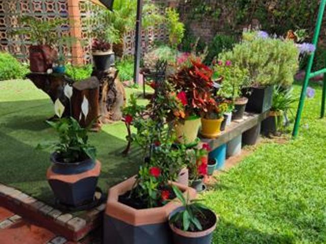 House for sale in Polokwane, Polokwane Local Municipality