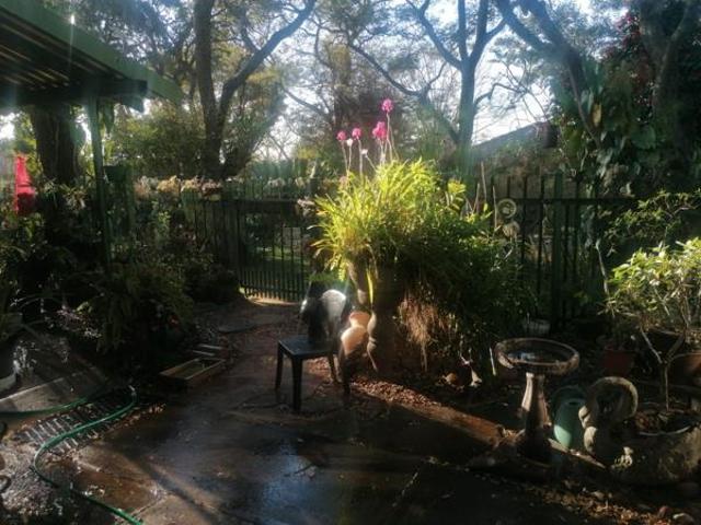 House for sale in Limpopo