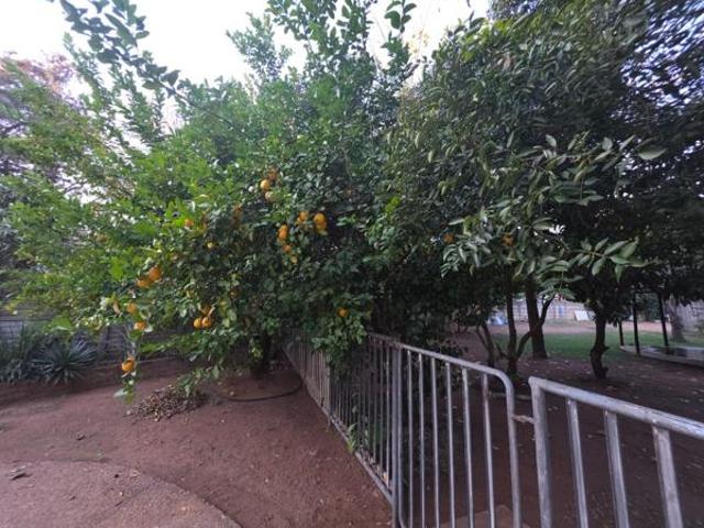 House for sale in Limpopo