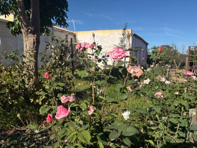 House for sale in Groot Brak Rivier, Western Cape