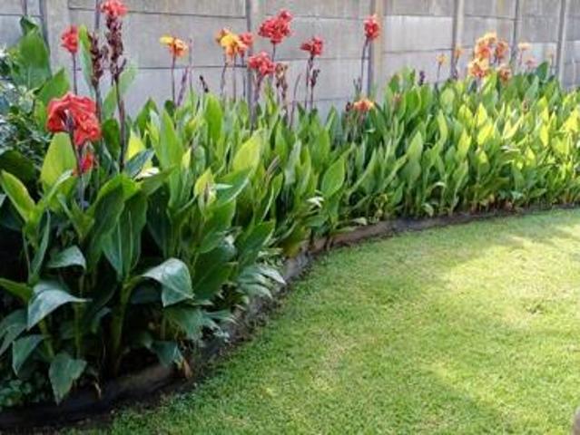 House for sale in Vryheid, Kwazulu-natal