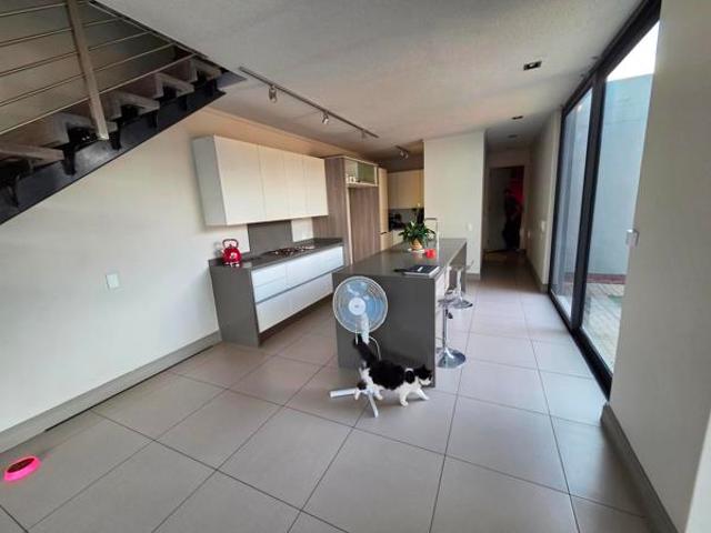 House for rent in Waterkloof, Gauteng