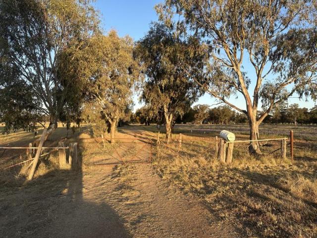 House for sale in Quandialla, New South Wales