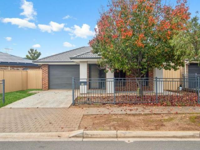House for rent