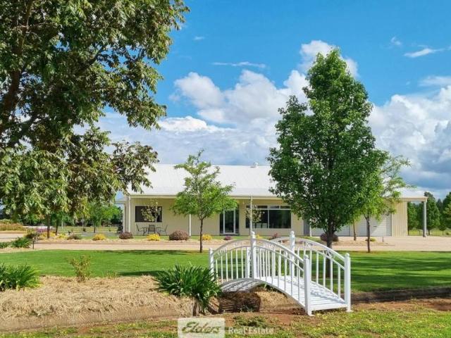 House for sale in Griffith, Griffith City Council