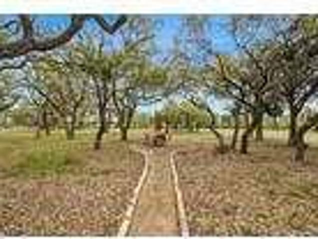 House for rent in Hays, Texas