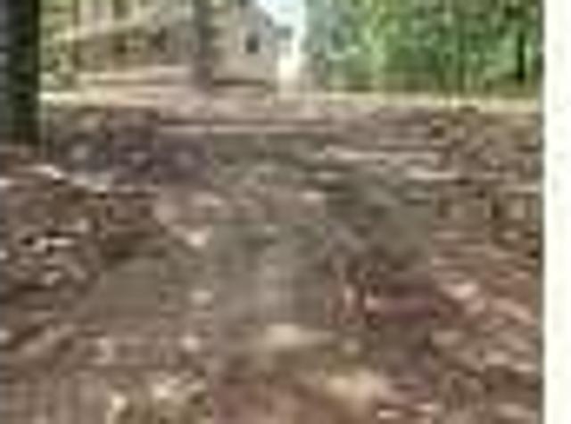 House for rent in Tuskegee