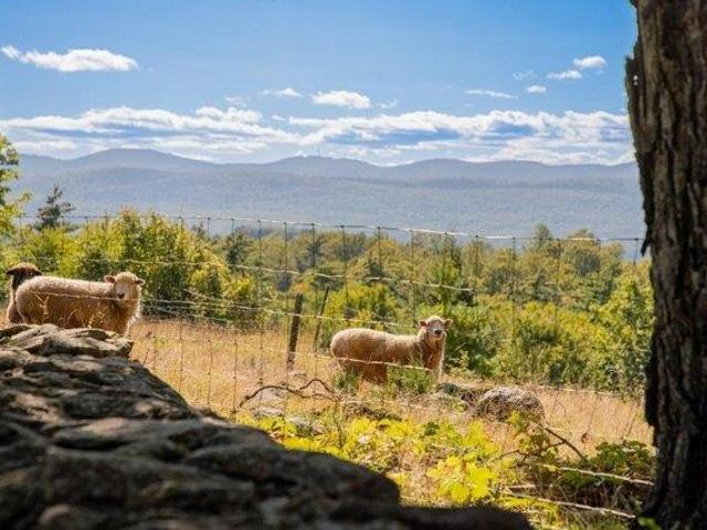 House for sale in Pittsford, Rutland County