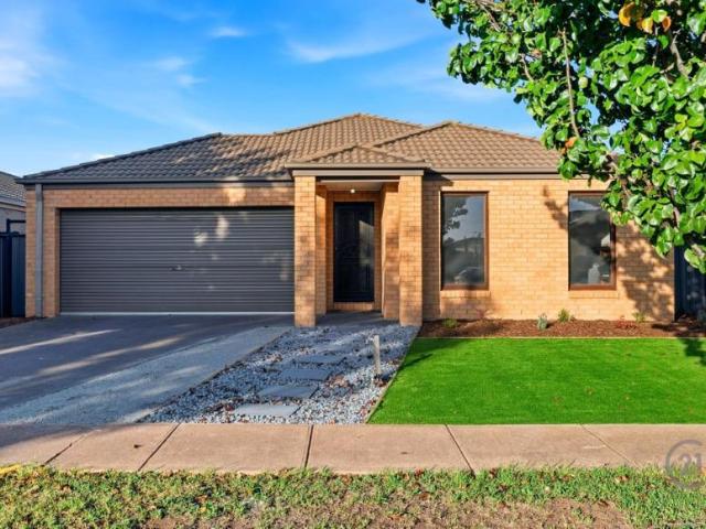 House for sale in Lizard, Queensland