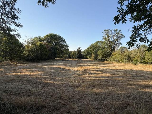 Land for sale in Flordon, Burgh St Peter