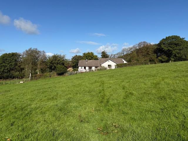 Land for sale in Llangybi, Llwyn-y-groes