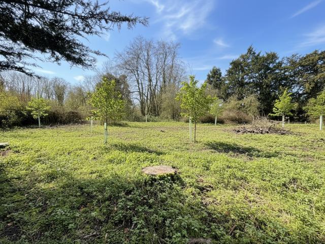 Land for sale in Stoke-by-Clare, Chedburgh