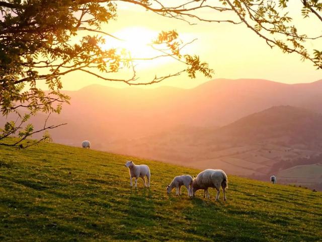 Land for sale in Wigmore, Herefordshire