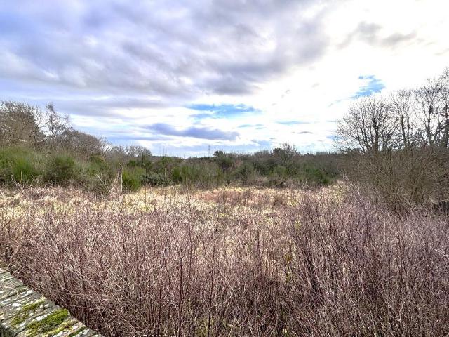 Land for sale in Townhill, Dunfermline