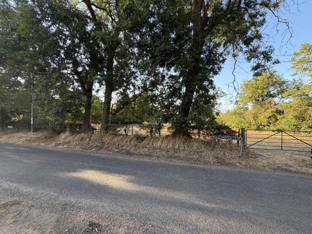 Land for sale in Flordon, Burgh St Peter