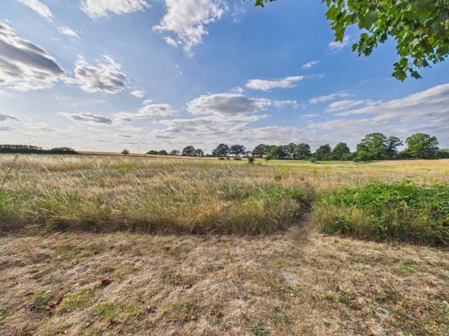 Farm for sale in Priest Down, Hampshire