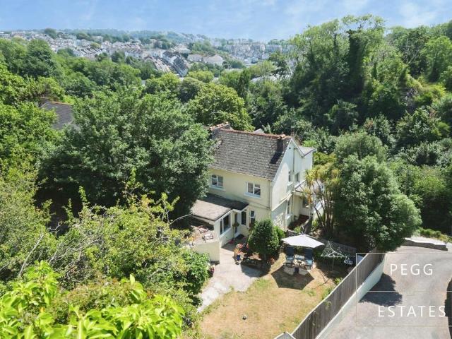 House for sale in Babbacombe