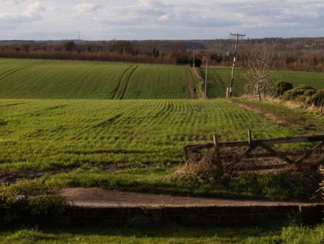 Farm for sale in Chartham, Canterbury