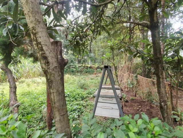 House for sale in Karen, Kiambu