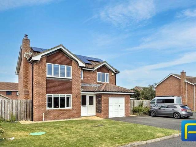 Studio for sale in Seahouses, Northumberland