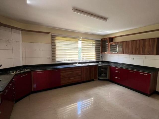 House for rent