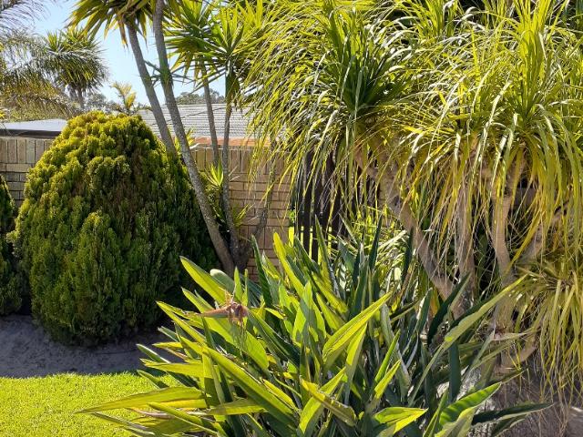 Townhouse for rent in Eastern Cape