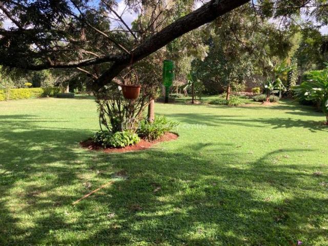 House for rent in Westlands