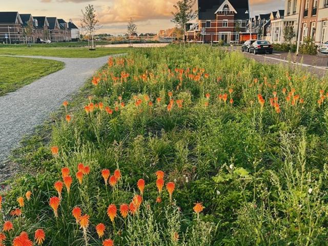 Appartement te huur in Weesp, Noord Holland