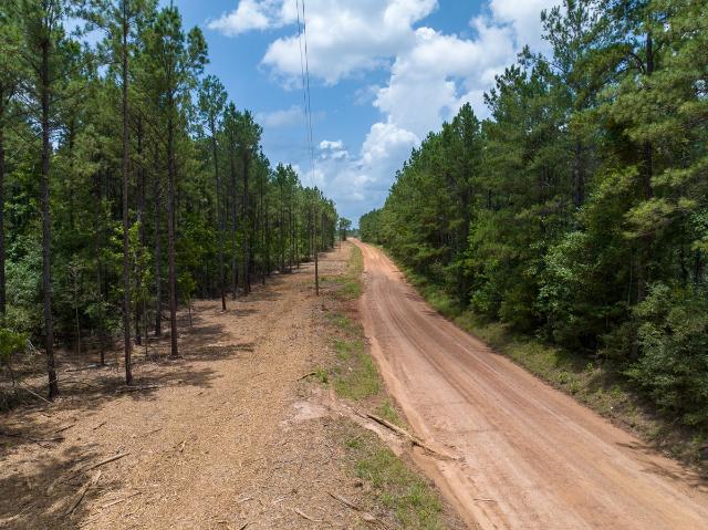 Land for sale in Polk, Texas