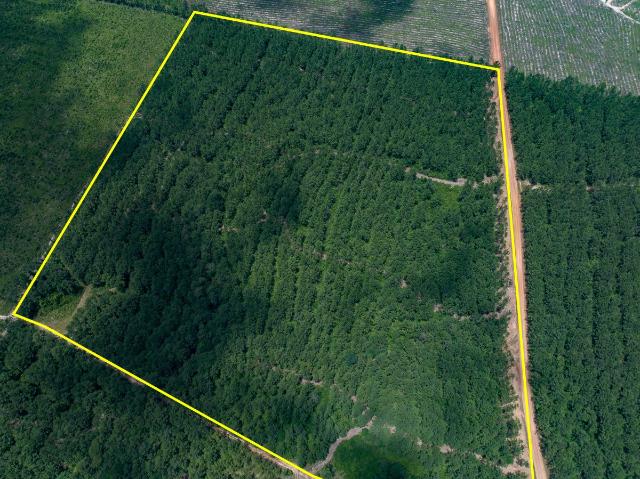 Land for sale in Polk, Texas
