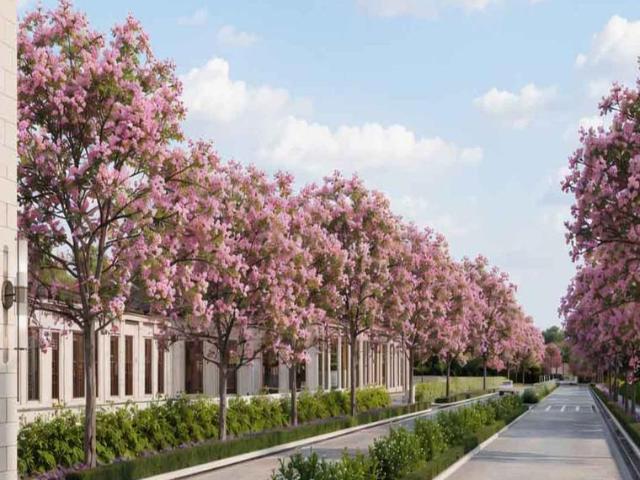 Flat for sale in Karnataka