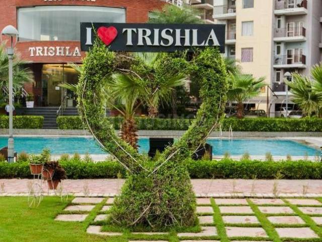 Flat for rent in Punjab