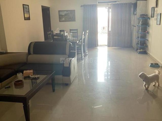 Flat for rent in Nova Goa, Goa