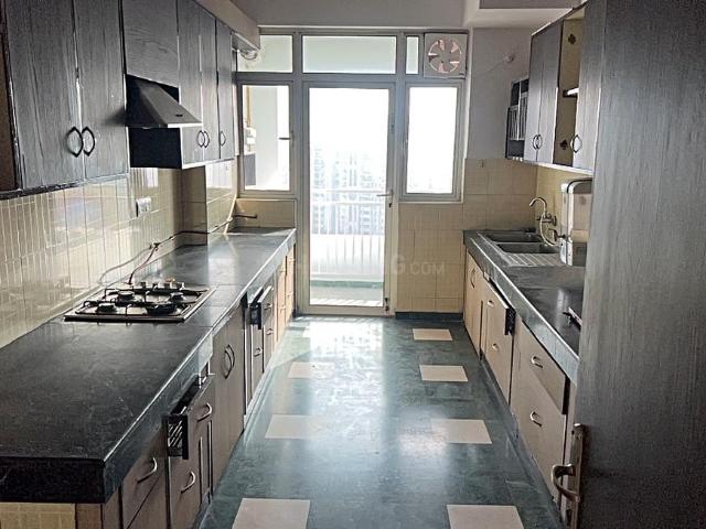 Flat for rent in DLF 5, Gurugram
