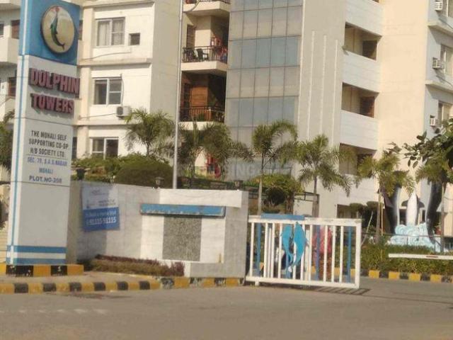 Flat for rent in Mohari, Punjab
